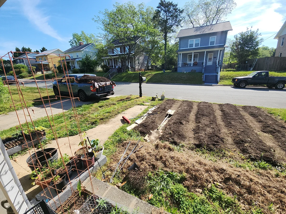 Raised planting rows prepared in a North Carolina front yard